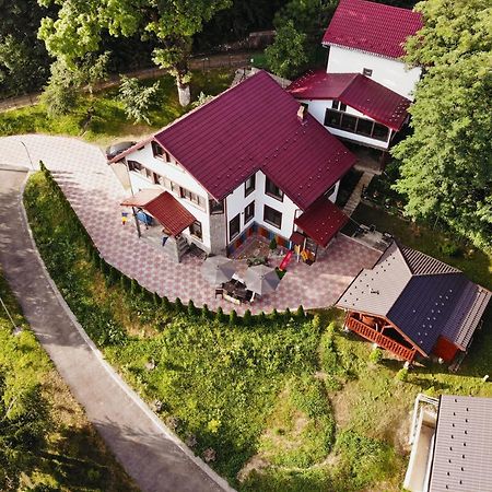 Stejarul Lui Andrei Hotel Izvoarele  Ngoại thất bức ảnh