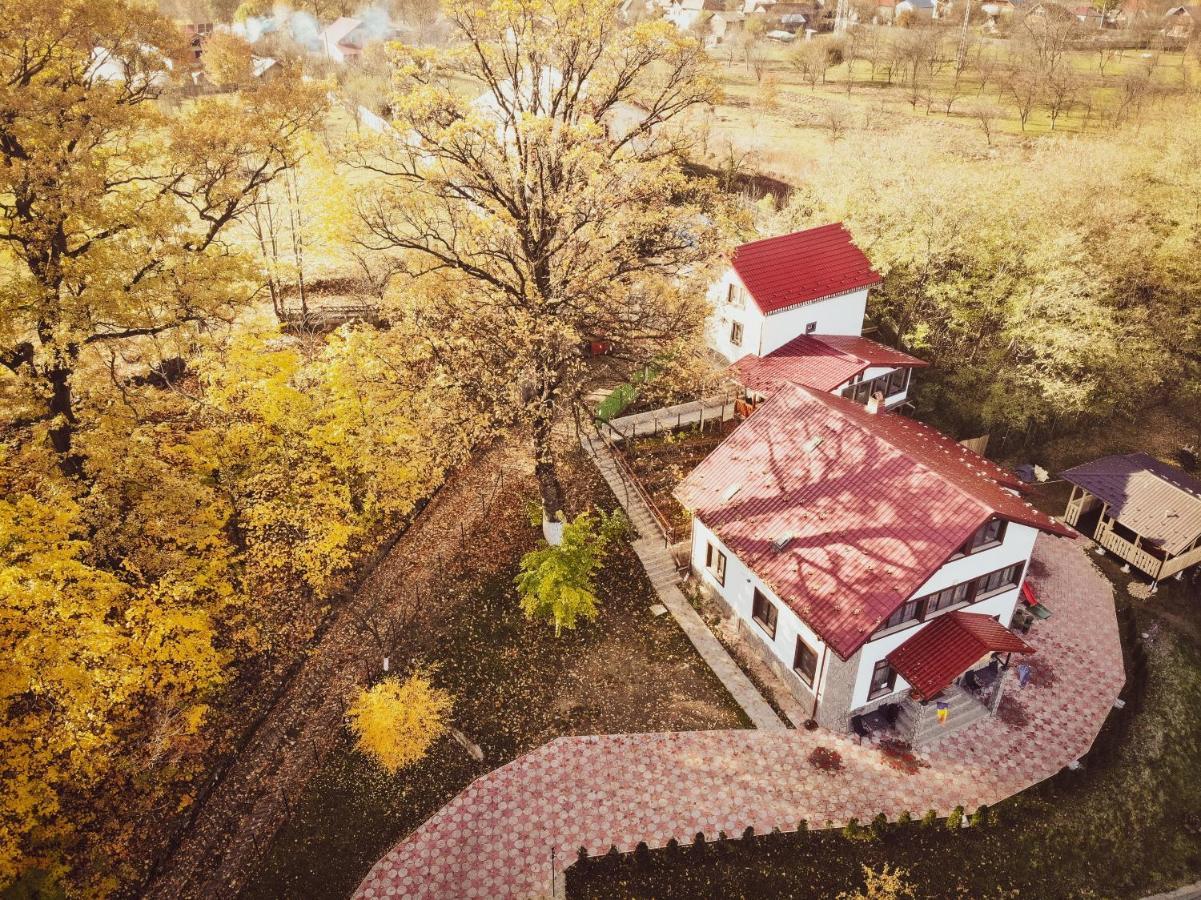 Stejarul Lui Andrei Hotel Izvoarele  Ngoại thất bức ảnh