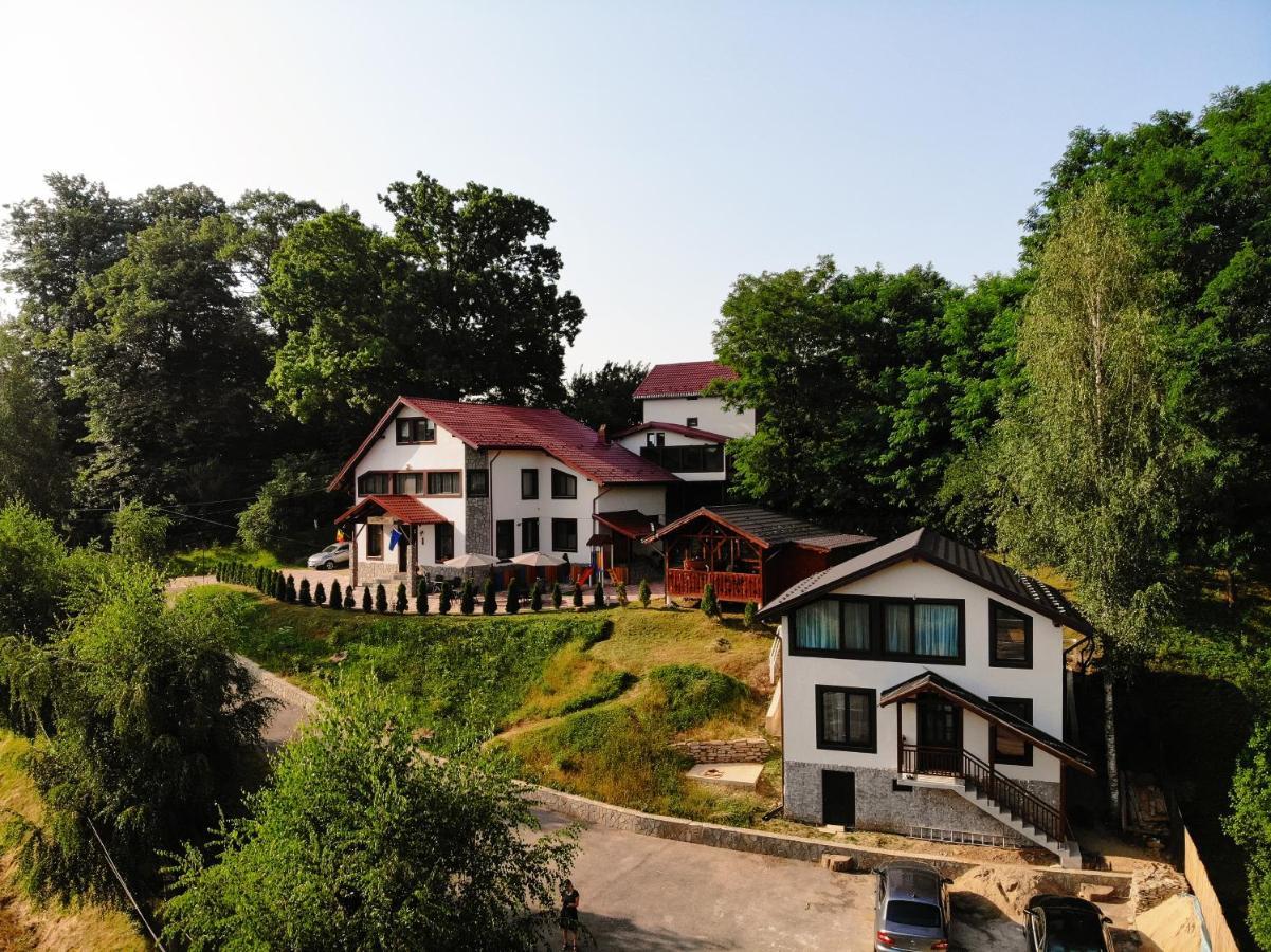 Stejarul Lui Andrei Hotel Izvoarele  Ngoại thất bức ảnh