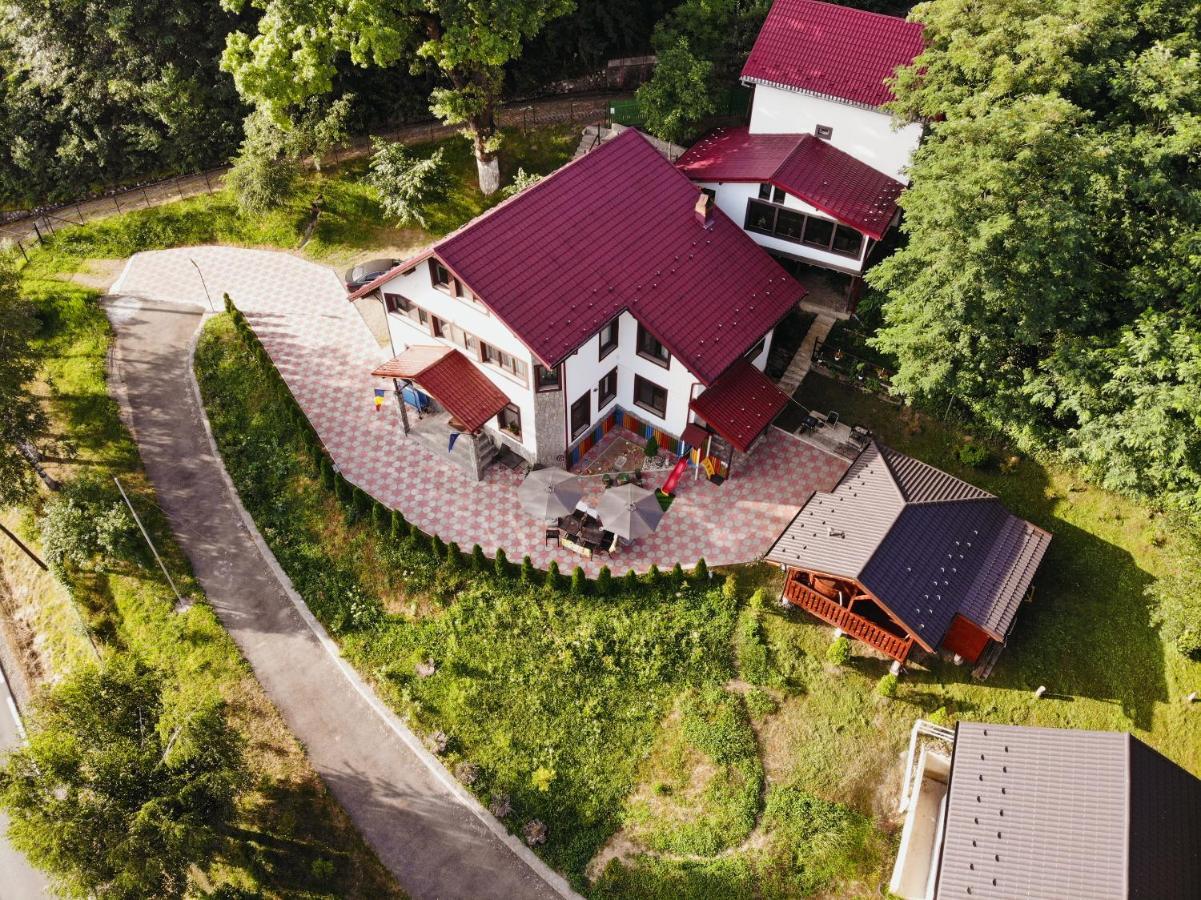 Stejarul Lui Andrei Hotel Izvoarele  Ngoại thất bức ảnh